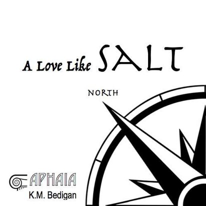 A Love Like Salt: North (e-book)