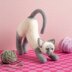 Hawthorn Handmade Stretching Cat Needle Felting Kit