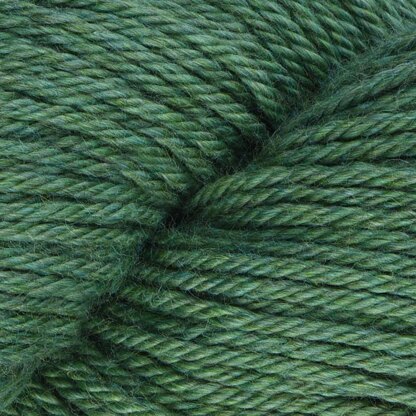 Basil (8440)