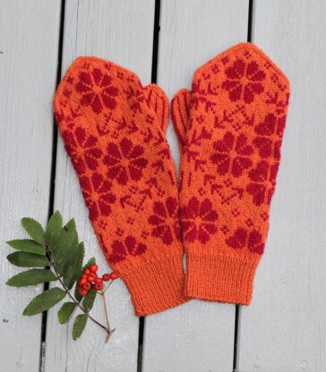 Phlox Mittens