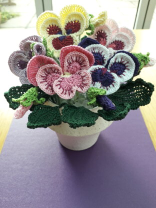 Pansies in a Pot