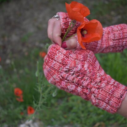 Memory of Poppies