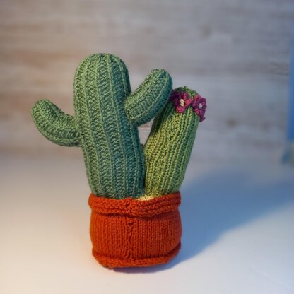 Knitted Cactus Family