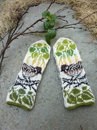 Sparrow Mittens