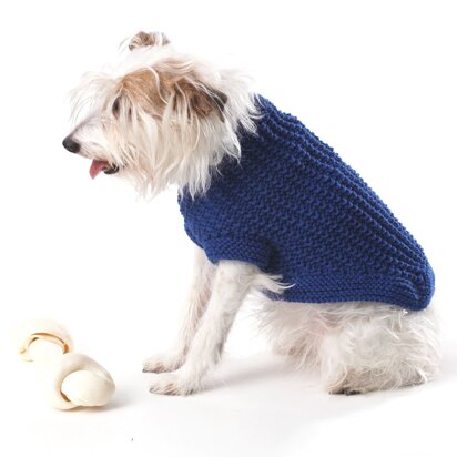 Knit Dog Coat in Bernat Super Value