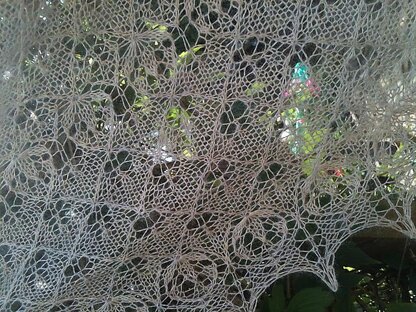 Buddleia Shawl