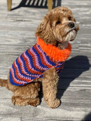 Pluto Dog Sweater in Lion Brand Basic Stitch Anti-Pilling Yarn - M21106 BSAP GF - Downloadable PDF
