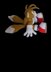 Tails from Sonic