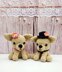 Chihuahua Couple