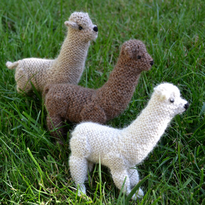 Cream Alpaca