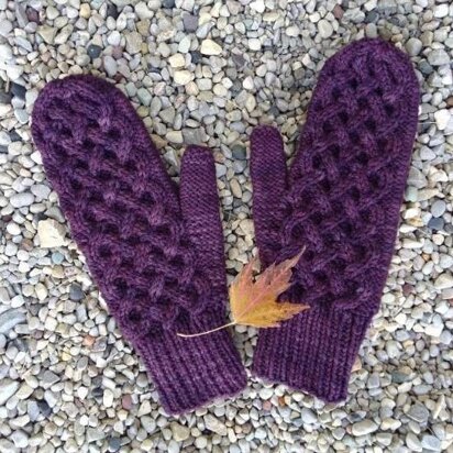 Teacher's Pet Mittens