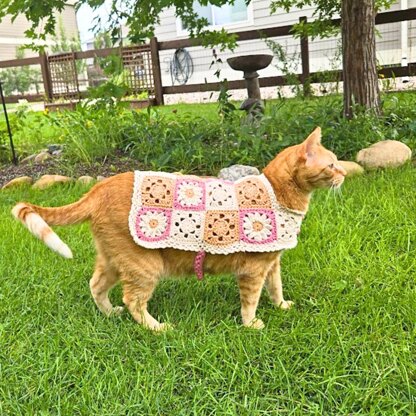 Daisy Cat Sweater