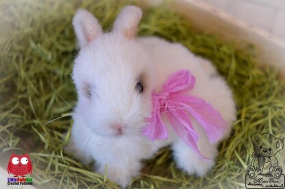219 Easter Bunny Rabbit