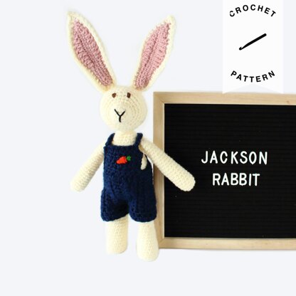 Jackson Rabbit