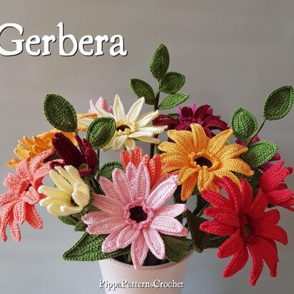 Gerbera