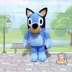 Bluey Pattern