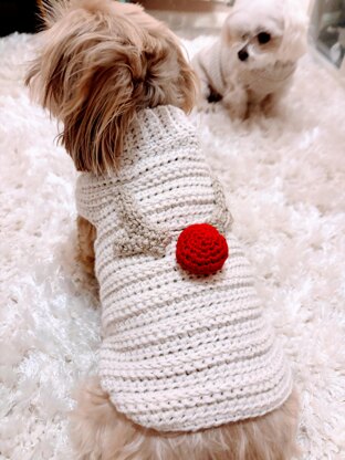 Rudolf Aran Dog Jumper