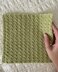 Aspens in May Washcloth
