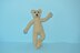 Tessa Teddy With Swimming Outfit
