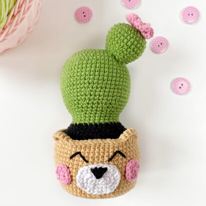 Cute cactus in a pot bear