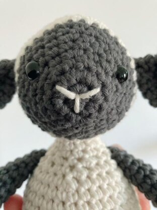 Simple Little Lamb