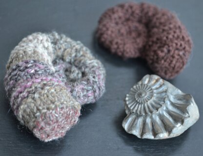 Ammonites