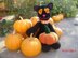 Midnight the Halloween Cat