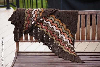 Haptitude Shawl