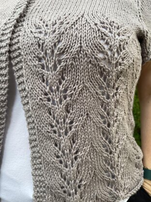 Delmarva Cardigan