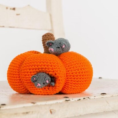 Pumpkin and mice