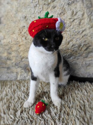 Strawberry Cat Hat