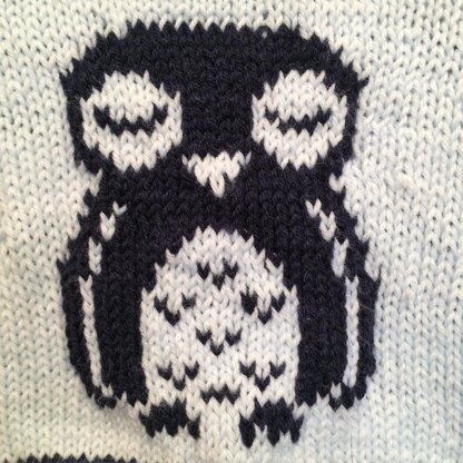 Sleepy Baby Owl Jumper