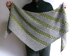 Cascade Shawl 72