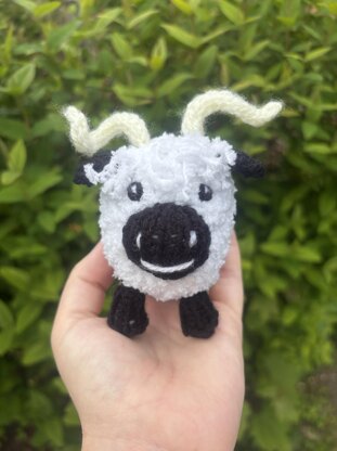Valais Black Nose Sheep