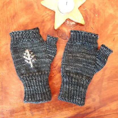 Pinaceae dk mitts