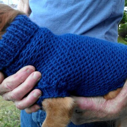 Ripple Stitch Miniature Dachshund Sweater - knitting pattern