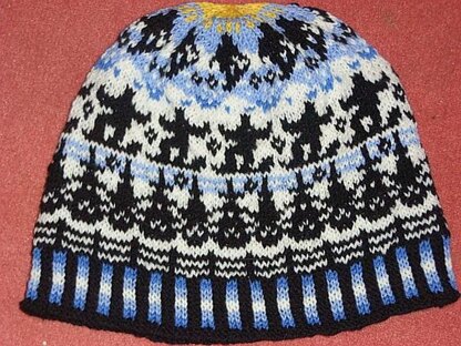 Snowboarding beanie