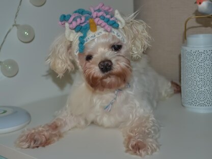 Unicorn dog hood, Crochet Pattern PDF, Size: XS for small dog