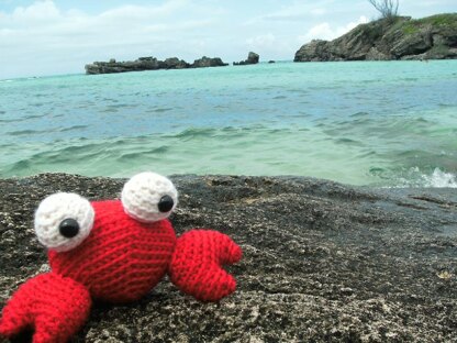 Amigurumi Tipper the Tiny Crab