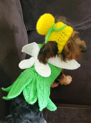 Stinker Bell Dog Coat inspired by Tinkerbell