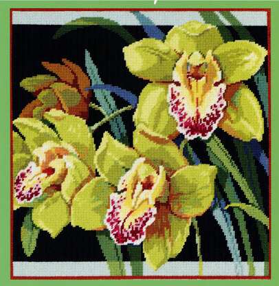 Orchids - PDF