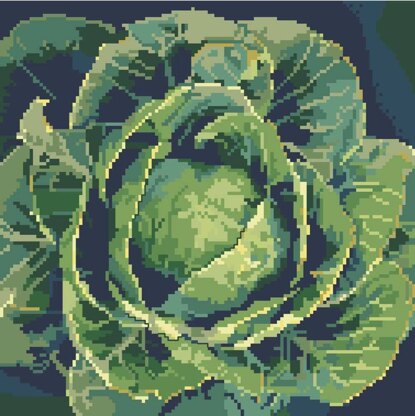 Glorious Cabbage - PDF