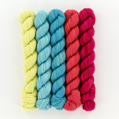 FIVE SKEIN YARN PACK — PASLEY KNITS YARN COMPANY