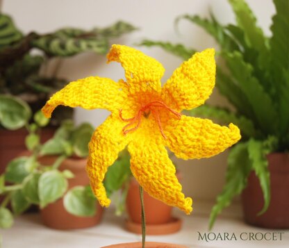 Crochet Lily