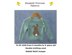 P173 Rabbit Motif Jumper
