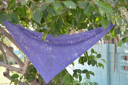 Not-Your-Garden-Variety Shawlette with Variation