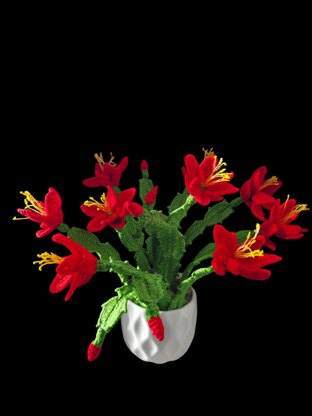 Crochet Christmas Cactus