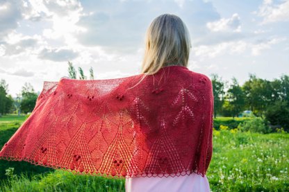 Shawl from the book of Andrea Jurgrau