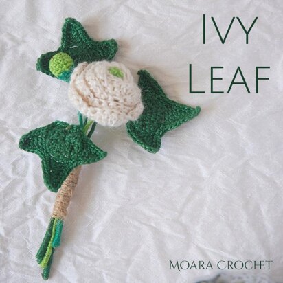 Ivy Leaf