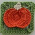 Pumpkin Granny Square